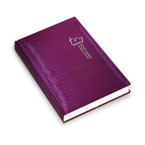 Agenda Try d'Udienza