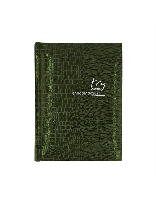 agenda tascabile annotando try verde